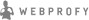 Дизайн сайта WEBPROFY