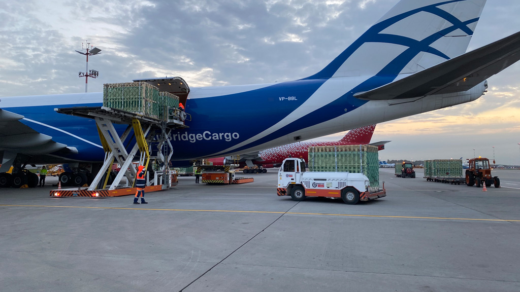 Пресс-релиз AirBridgeCargo